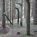 Důl Otto, Zaunrest