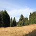 Erzgebirgslandschaft