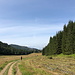 Unterwegs auf der Wielka Polana Małołącka - Weiter hinten geht's wieder in den Wald hinein. Dort befindet sich auch die vom Hinweg bekannte Wegkreuzung.