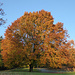 Schön bunt