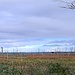 Westlicz des Bahndammes steht das Gelände entgegen aktueller Karten derzeit nicht komplett unter Wasser, trotzdem ist es den Bäumen zu nass geworden. <br />Der Wasserstand scheint, so interpretiere ich andere Publikationen, nicht ganz konstant zu sein.
