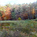 Fäulbachsee
