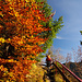 Herbstliches am Höhenweg nach Bayrischzell