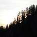 Abendstimmung