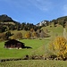 "Bilderbuchherbst" im Tal des Menigbachs 2 - hier bei der Grundmatte