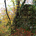 Eine der spärlichen Mauerreste der Ruine Waldeck. Die Burg steht auf einer Felskuppe mitten im Wald. Um zu den Mauern zu gelangen muss man über spärliche Wegspuren hochsteigen.