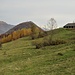 Lo stallone di Pian delle Alpi e San Zeno.