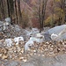 Colate di detrito sui corsi d'acqua che attraversano la strada forestale