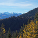 Ausblick zur Wildhorn-Gruppe