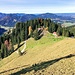Sattelalm