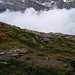 Tierischer Bewohner des Gebiets um die Kürsingerhütte - den Fuchs haben wir im Umfeld der Hütte mehrfach gesehen.
