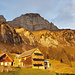 Alp Tschingla im Abendlicht