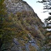 fuori dal bosco, le placche rocciose precipitano nel torrente