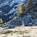 Arpètt