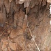beim Aufstieg kommen wir an einer Tropfsteinhöhle vorbei, ein Seil bietet gar eine Abseilmöglichkeit