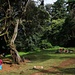 Der kleine Park am Marangu Gate (1855m), dem Eingangstor in den Kilimanjaro Nationalpark. Hier beginnt der Normalweg (Marangu Route) zum Kilimanjaro / Kibo.