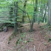Starý zámek Vidim, Wirtschaftsburg