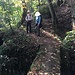 Vidimské lávky, Wegbrücke (Foto: MB)<br />Der Wanderleiter sortiert erst einmal seine Knochen.<br />Die Frauen bleiben ab hier zurück...