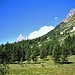 Il Monte Bianco e l'Aiguille Noir de Peterey da Planpicieux.