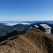 Schäfler weit über dem Nebelmeer