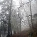 Aufstieg von Stansstad auf den Lopper – immer noch im dichten Nebel.