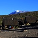 Bestes Wetter herrschte am 3. Tag! Der Kilmanjaro leuchtet in der der Morgensonne über den Horombo Huts (3715m).