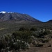 Oberhalb zirka 4100m wird der Weg zur Kibo Hut sehr flach und die Landschaft nimmt zusehends wüstenhafte Züge an. Links ist unser Ziel der Kilimanjaro / Kibo (5891,775m), rechts der kleine Vulkan Middle Red Hill (4420m).