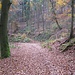 Erst auf einem breiten Weg, dann ab hier auf dem schmalen Pfad geradeaus geht es in herbstlicher Landschaft aufwärts.