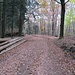 Auf dem Rückweg erreiche ich hier eine Wegekreuzung mit der Hohe-Derst-Straße, an der ich schon auf dem Hinweg vorbeigekommen war. Auf dem Hinweg kam ich von gegenüber und ging auf dem Foto nach rechts hoch, jetzt bog ich bei den Baumstämmen nach links ab, um einen anderen Weg hinunter zum Parkplatz zu versuchen.