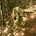 ... im urigen Ambiente ...
