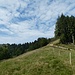 ... zu offenen Weideflächen ...