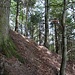 nach anfänglichem Gewühl sind im Steilhang Spuren auszumachen ...