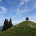 Fortsetzung unserer Wanderung ...