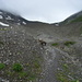 Aufstieg oberhalb der Wildhornhütte gegen das Schnidejoch
