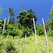 unterwegs am Haselbergsteig