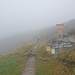 nebliger Start in Richtung Salbitbrücke