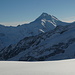 das formschöne Aletschhorn in der Spätnachmittags-Sonne
