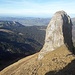 Sauglatt: Glattchamm