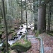 Die Gertelbach-Wasserfälle bestehen aus vielen kleinen Wasserkaskaden. Der Wanderweg führt immer daran entlang abwärts, hier an dieser Stelle recht gut ausgebaut.