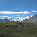 Piz Palù-Bellavista-crestAguzza-Bernina dall'alp Languard