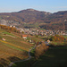 Aussicht unterhalb der Ruine Schalberg nach über die Weinberge der Klus nach Aesch (312m) und zur Schartenflue (759,7m).