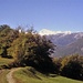 1 Presso l'Alpe Faievo.