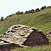 1 Alpe di Nava.