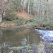 Wehr mit Mühlgrabeneinlauf der Forstmühle (linksseitig)