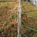 Stacheldraht so weit das Auge reicht. Leider.