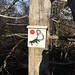 [https://www.wesenimwald.ch/ Wesen im Wald]
