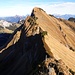 Blick vom Bockmattlistock zum Tierberg  - steiler Zahn!