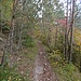 Unterwegs zum Geotop-Aussichtspunkt.