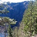 Hier hatte in der Eiszeit der Gletscher der Feldbergdonau seinen Anfang. Übrig ist der steile Bergschrund und der Feldsee als Karsee. Auch die Feldbergdonau ist Geschichte. Die Gutach fließt als Wutach dem Rhein zu und mündet bei Tiengen in den Hochrhein.