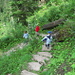 Abstieg zur Wallbachschlucht.